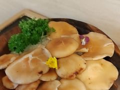 -季季山·云南野生菌火锅(上海首店)