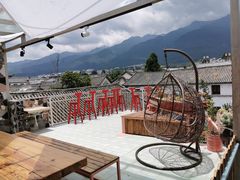 -喵屿·大理花园猫咖