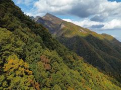 -牛背梁国家森林公园