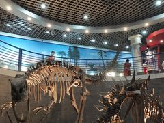 -国家自然博物馆