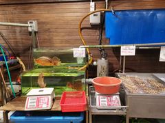 -真浪花园海鲜餐馆