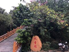 -大屏嶂森林公园