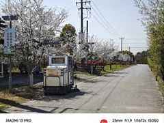 -菊园百果园