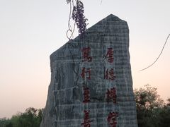 -山东理工大学