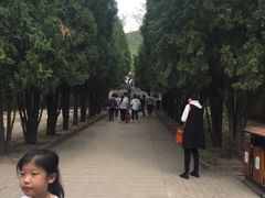 -灵山聚龙洞