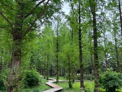 -国家植物园南园