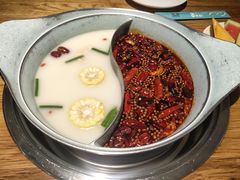 -青瓷火锅料理(西单大悦城店)