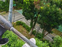 -圣淘沙天际线斜坡滑车