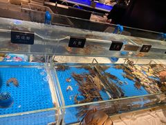 -加餐海鲜自助(集美银泰百货店)