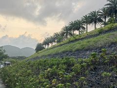-白石龙音乐公园