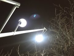 -贺秦生陕面王(富力城店)