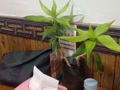 -弘德楼·自家菜园(朱家角古镇店)