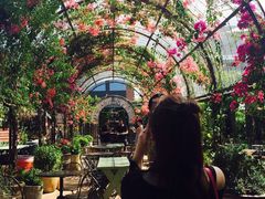 -The Grounds of Alexandria