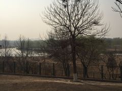 -北京麋鹿生态实验中心