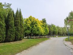 -莫子山公园