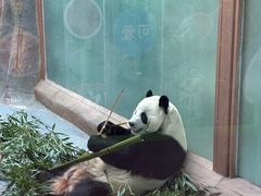 -青藏高原野生动物园