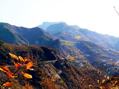 -白草畔自然风景区