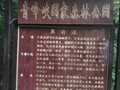 -青峰峡国家森林公园