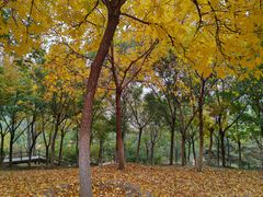 -滨河世纪广场公园