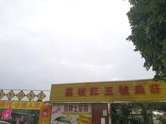 -荔枝红五号农庄