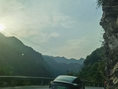 -都江堰石锅鱼