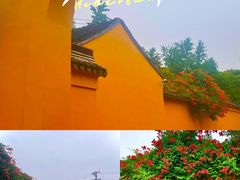 -虎丘山风景名胜区