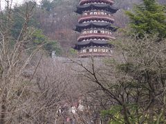 -牛首山文化旅游区