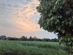 -郴州特产舜华临武鸭(郴州西站店)