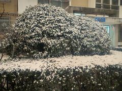 -田村(地铁站)
