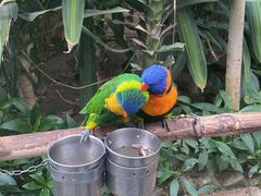 -南宫五洲植物乐园