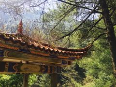 -苍山感通索道
