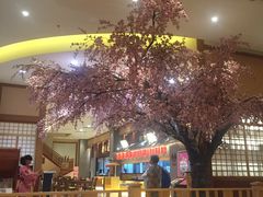-大江户·温泉洗浴(浑南店)