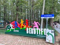 -日照海滨国家森林公园