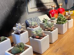 -小财盆地桌烤肉