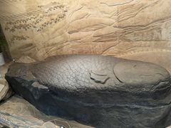 -白鹤梁水下博物馆