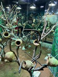 -Zoolung Zoolung动物主题公园(海信广场店)