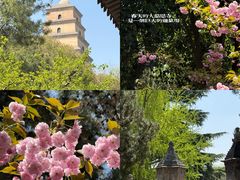 -大慈恩寺(大雁塔)
