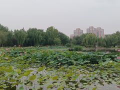 -太阳宫公园