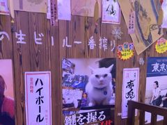 -坂吉屋·居酒屋深夜食堂(龙湖店)