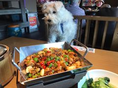 -卞氏菜根香·川菜(青羊万达店)