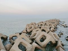 -东疆建设开发纪念公园