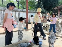 -深圳野生动物园