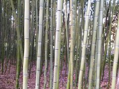 -苏州河梦清园环保主题公园