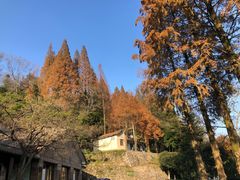 -莫干山风景区