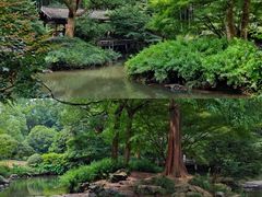 -杭州植物园