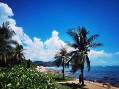 -小海豚•老字号海鲜餐厅(天涯店)