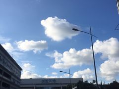 -江湾体育中心游泳馆
