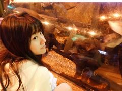 -悉尼海洋生物水族馆