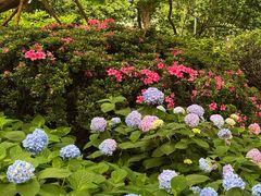 -常州古运河南大街文化旅游区-人民公园