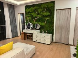 -POCO宝珂丽科技美肤